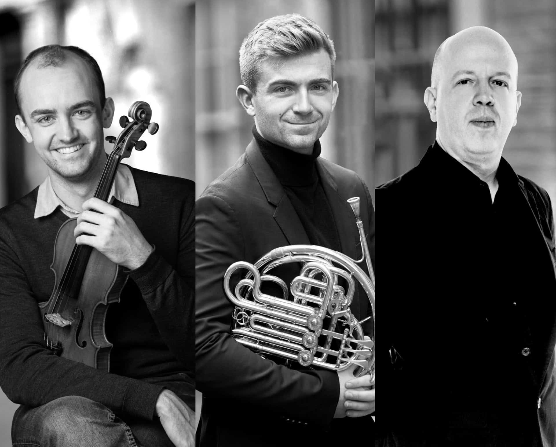 Goldscheider Horn Trio during a past Hexham & District Music Society performance